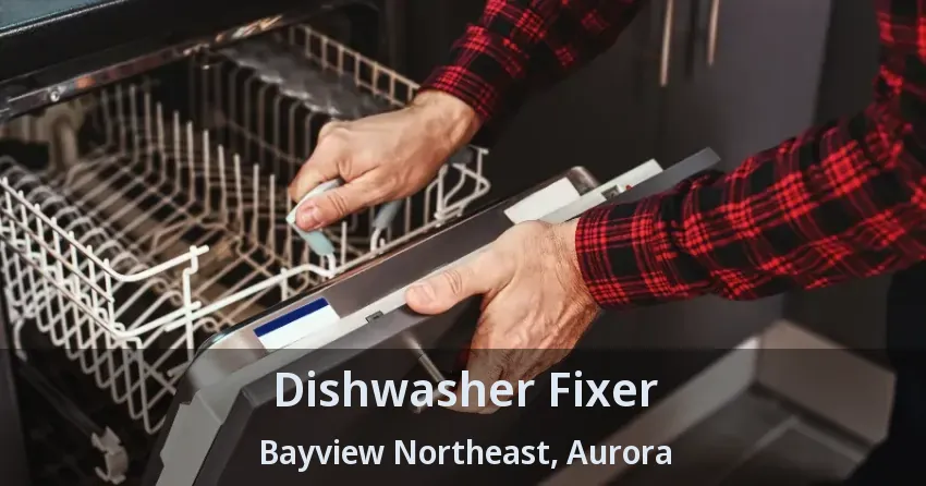 Dishwasher Fixer Bayview Northeast, Aurora - ON