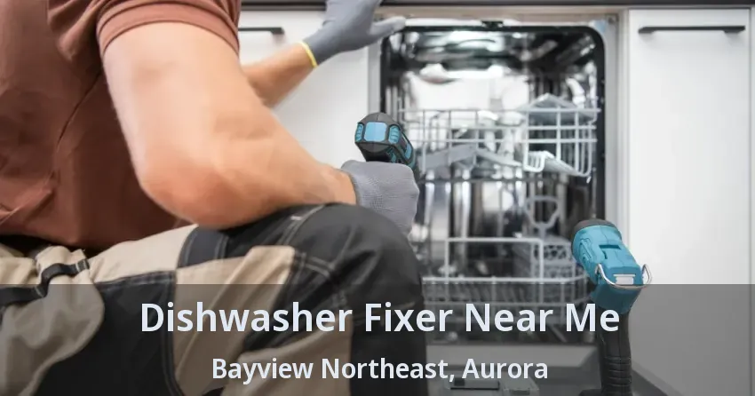 Dishwasher Fixer Near Me Bayview Northeast, Aurora - ON