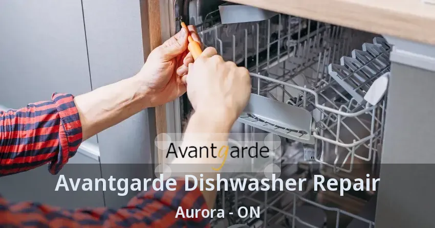 Avantgarde Dishwasher Repair Aurora - ON