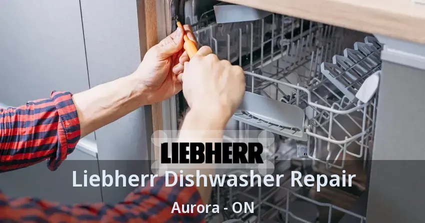 Liebherr Dishwasher Repair Aurora - ON