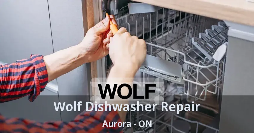 Wolf Dishwasher Repair Aurora - ON