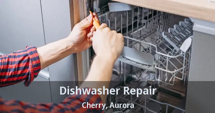 Dishwasher Repair Cherry, Aurora - ON