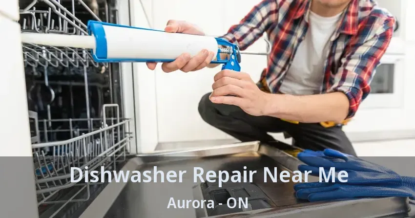 Dishwasher Repair Near Me Aurora - ON