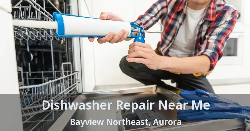 Dishwasher Repair Near Me Bayview Northeast, Aurora - ON