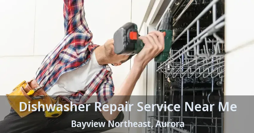 Dishwasher Repair Service Near Me Bayview Northeast, Aurora - ON