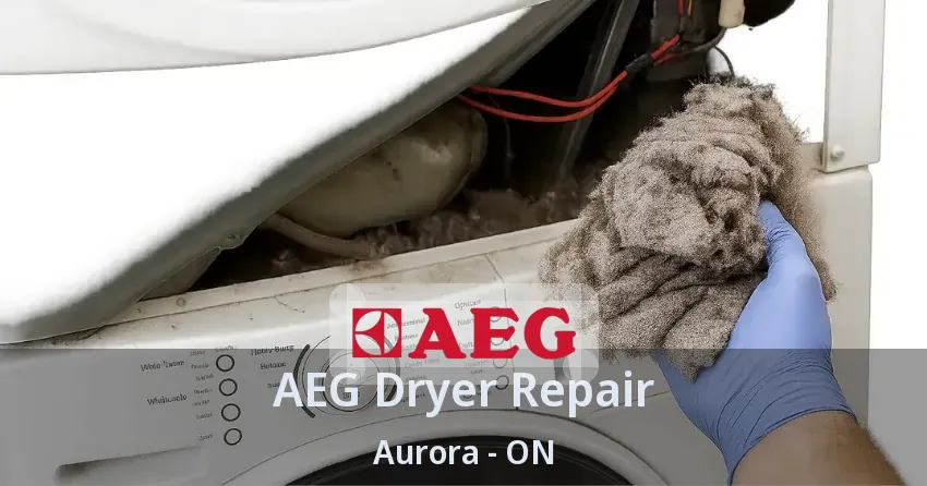 AEG Dryer Repair Aurora - ON