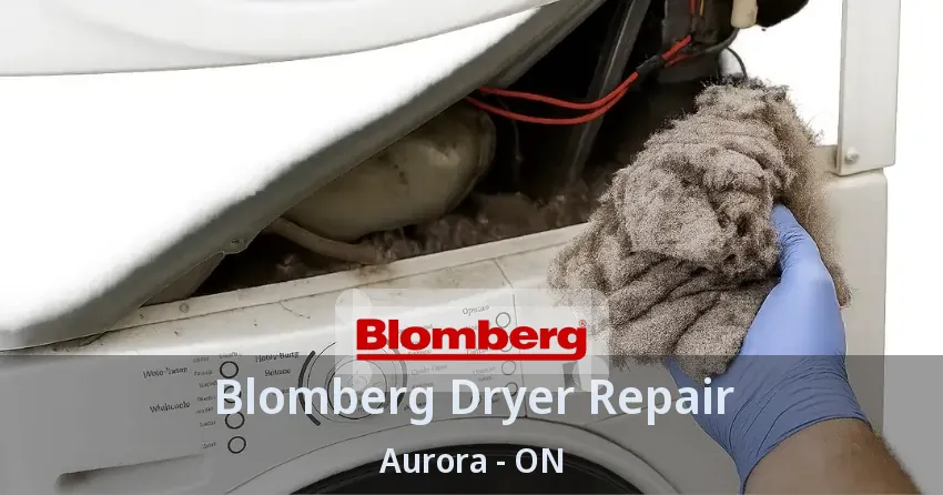 Blomberg Dryer Repair Aurora - ON
