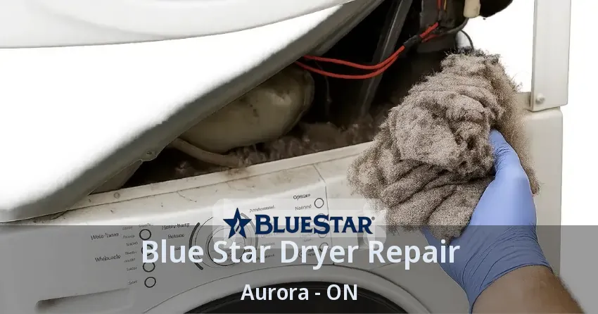 Blue Star Dryer Repair Aurora - ON