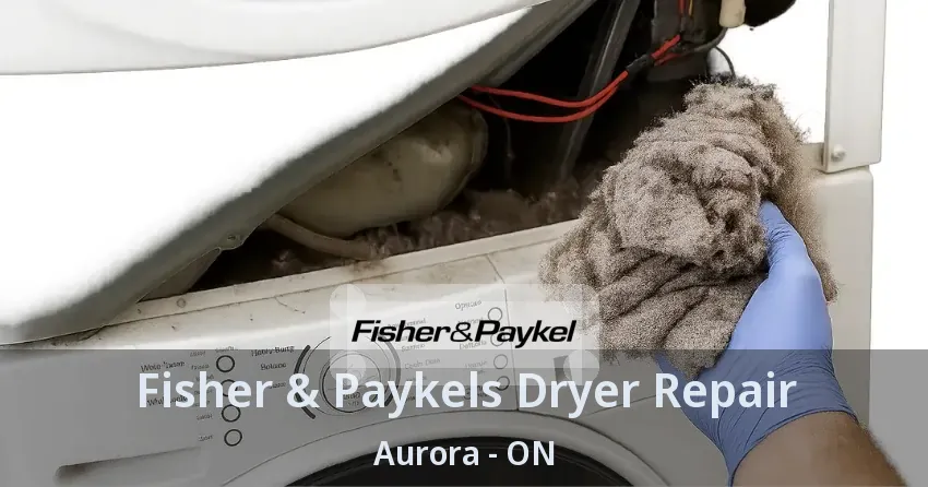 Fisher & Paykels Dryer Repair Aurora - ON