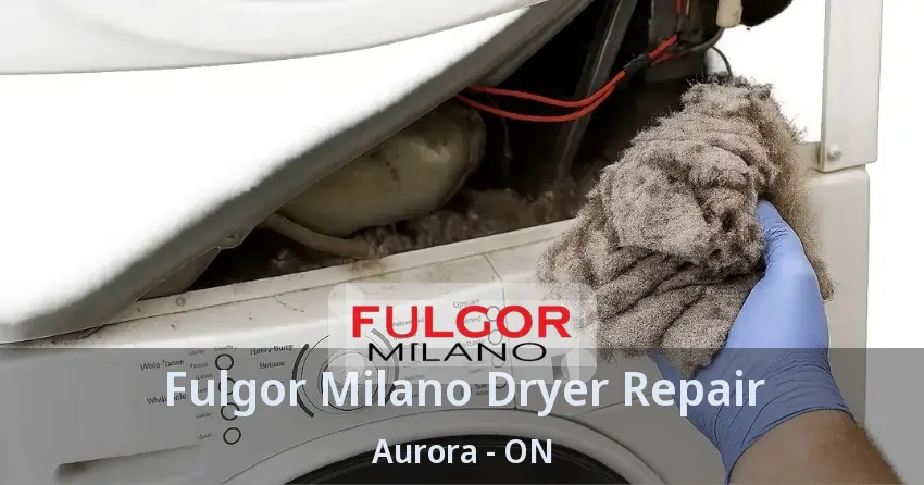 Fulgor Milano Dryer Repair Aurora - ON