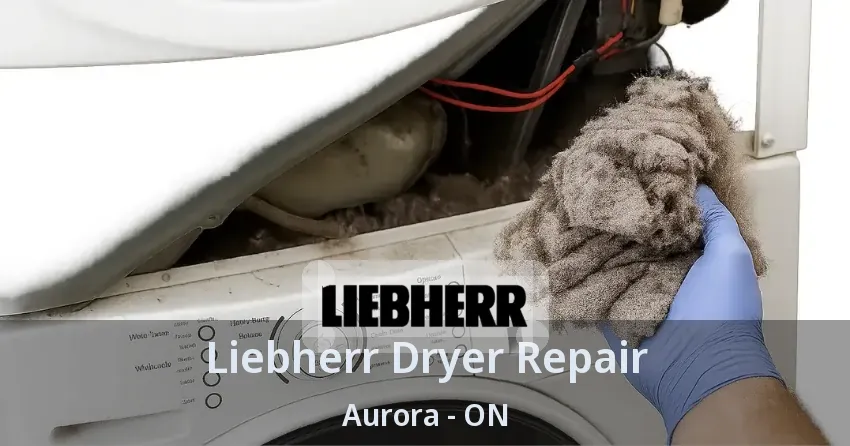 Liebherr Dryer Repair Aurora - ON