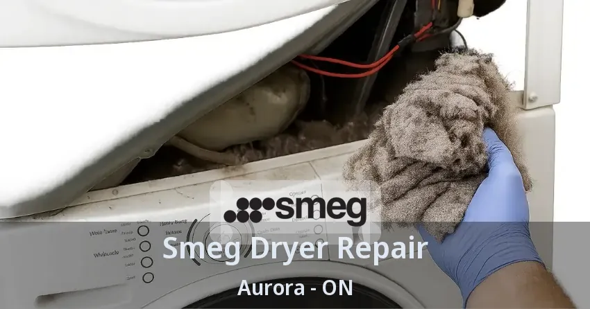 Smeg Dryer Repair Aurora - ON