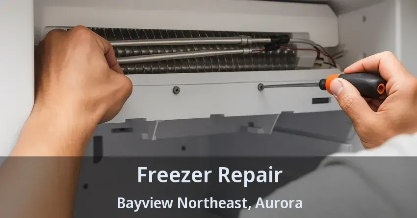 Freezer Repair Bayview Northeast, Aurora - ON
