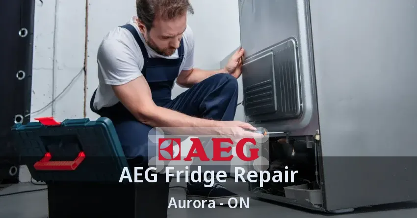 AEG Fridge Repair Aurora - ON