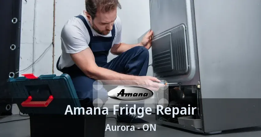 Amana Fridge Repair Aurora - ON