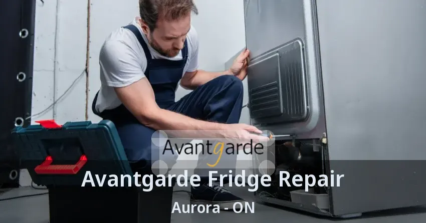 Avantgarde Fridge Repair Aurora - ON