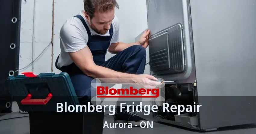 Blomberg Fridge Repair Aurora - ON