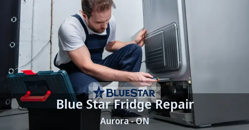 Blue Star Fridge Repair Aurora - ON