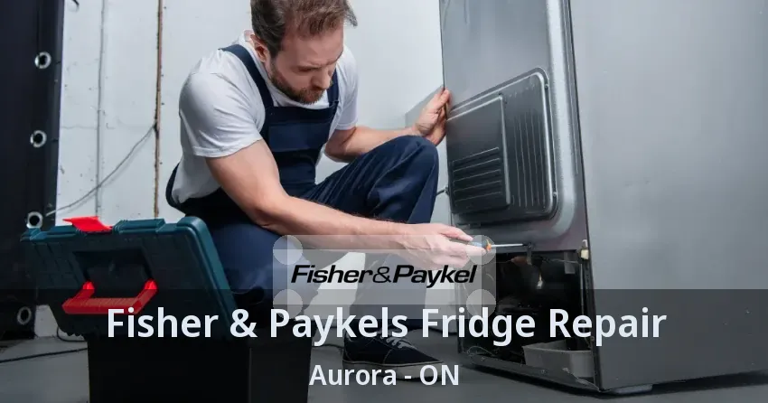 Fisher & Paykels Fridge Repair Aurora - ON