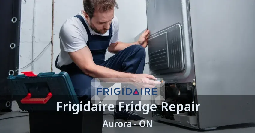 Frigidaire Fridge Repair Aurora - ON