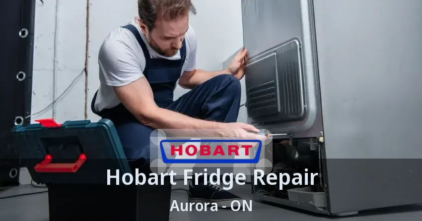 Hobart Fridge Repair Aurora - ON