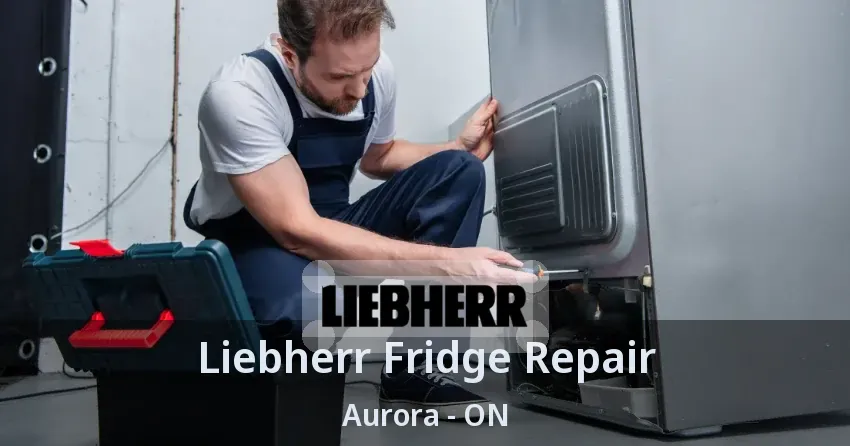 Liebherr Fridge Repair Aurora - ON