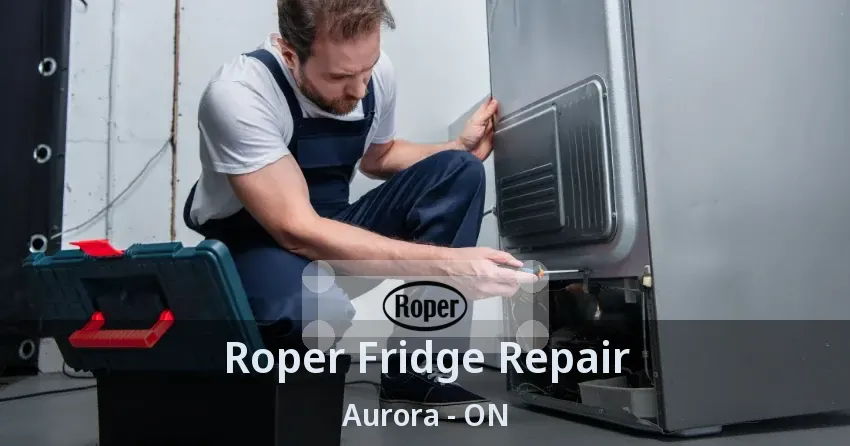 Roper Fridge Repair Aurora - ON