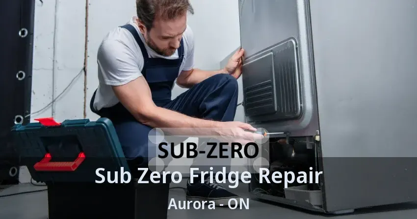 Sub Zero Fridge Repair Aurora - ON
