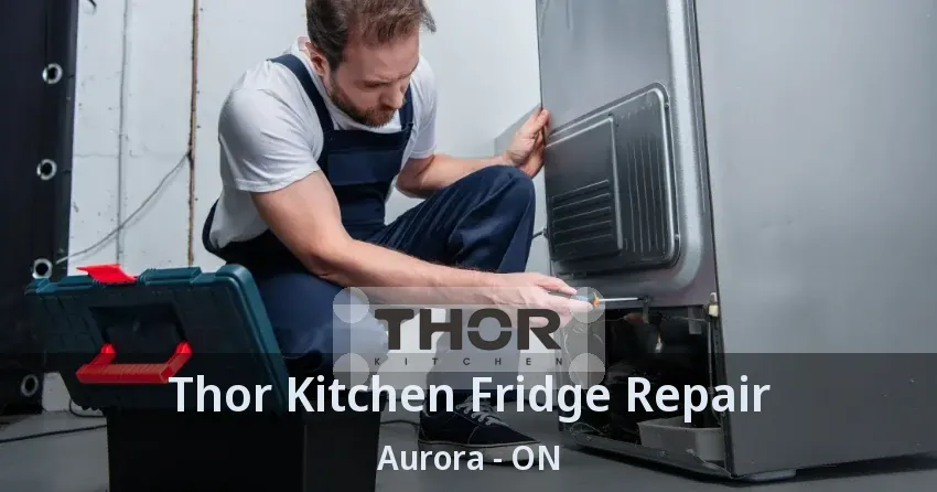 Thor Kitchen Fridge Repair Aurora - ON