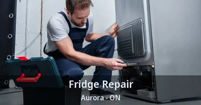 Fridge Repair Aurora - ON
