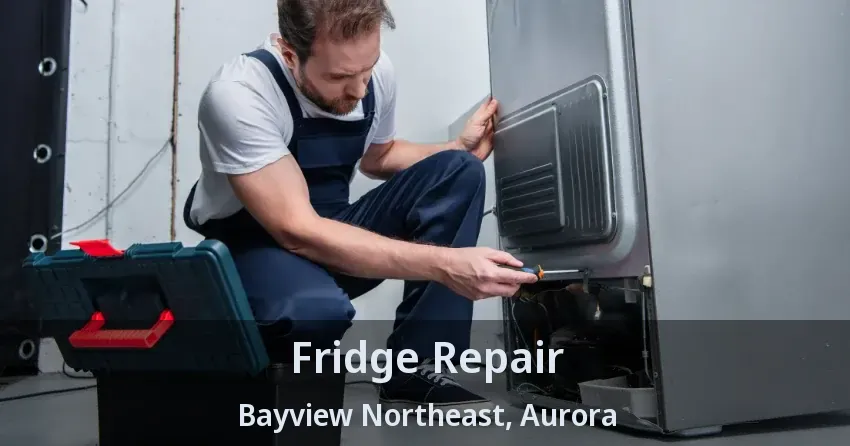 Fridge Repair Bayview Northeast, Aurora - ON