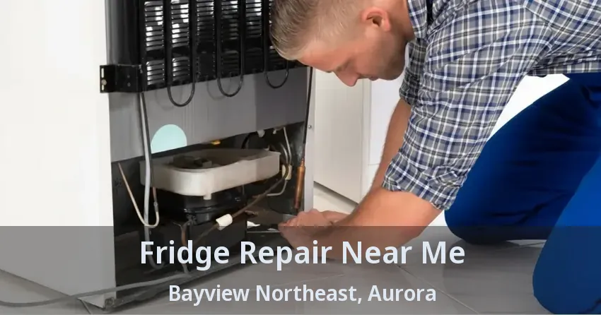Fridge Repair Near Me Bayview Northeast, Aurora - ON