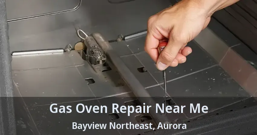 Gas Oven Repair Near Me Bayview Northeast, Aurora - ON