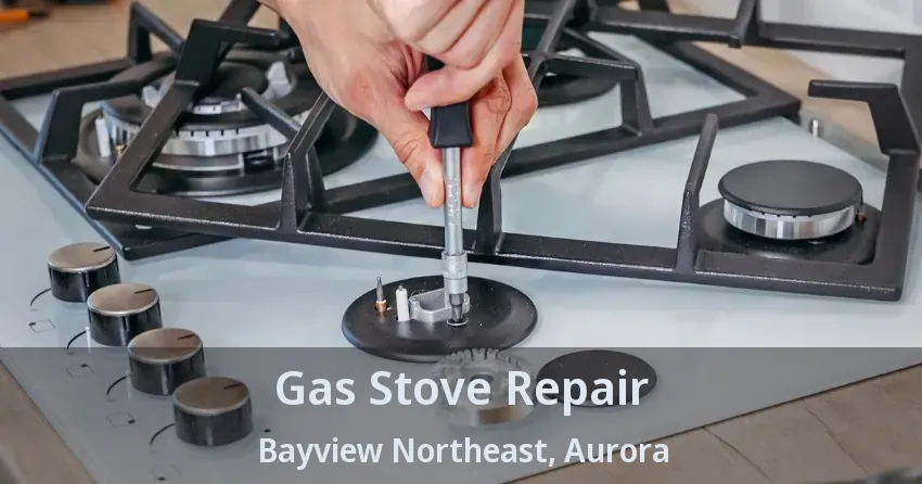 Gas Stove Repair Bayview Northeast, Aurora - ON