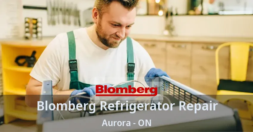 Blomberg Refrigerator Repair Aurora - ON