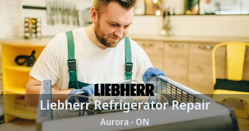 Liebherr Refrigerator Repair Aurora - ON