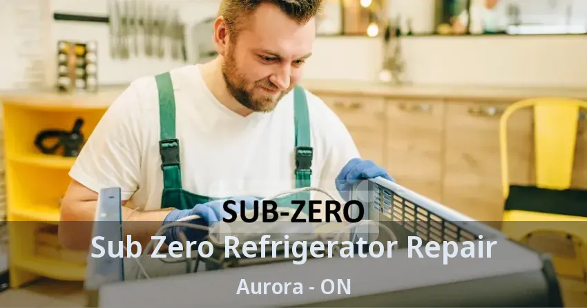 Sub Zero Refrigerator Repair Aurora - ON