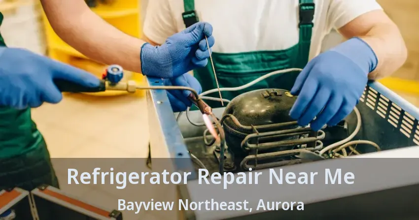 Refrigerator Repair Near Me Bayview Northeast, Aurora - ON