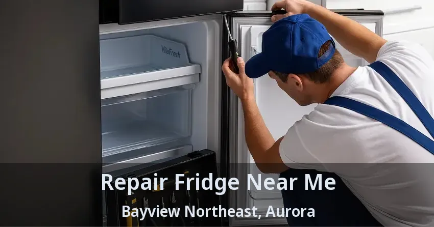 Repair Fridge Near Me Bayview Northeast, Aurora - ON