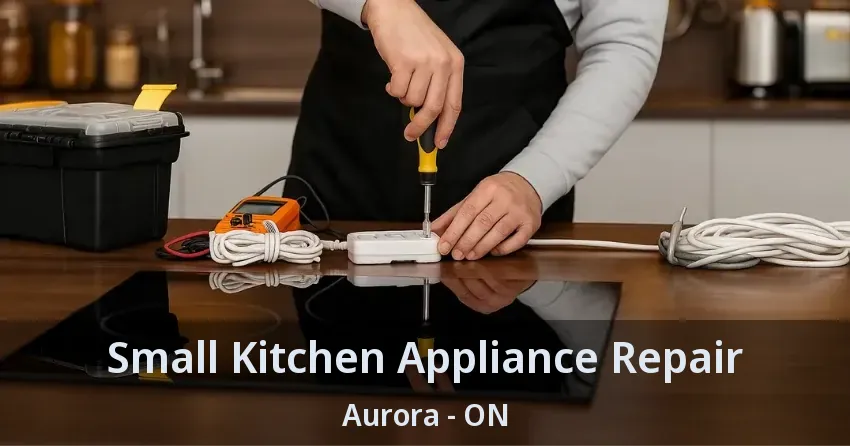 Small Kitchen Appliance Repair Aurora - ON