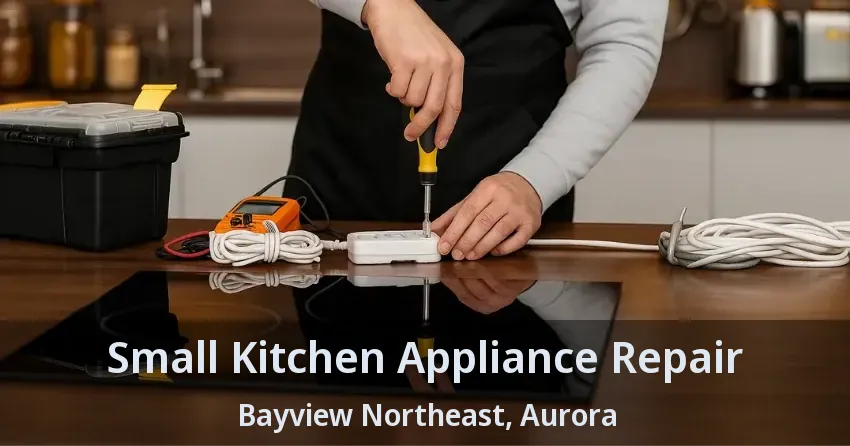 Small Kitchen Appliance Repair Bayview Northeast, Aurora - ON