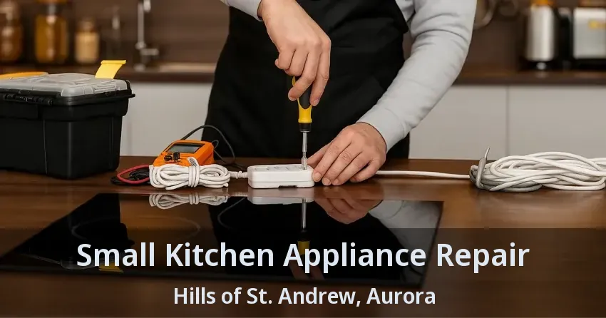 Small Kitchen Appliance Repair Hills of St. Andrew, Aurora - ON