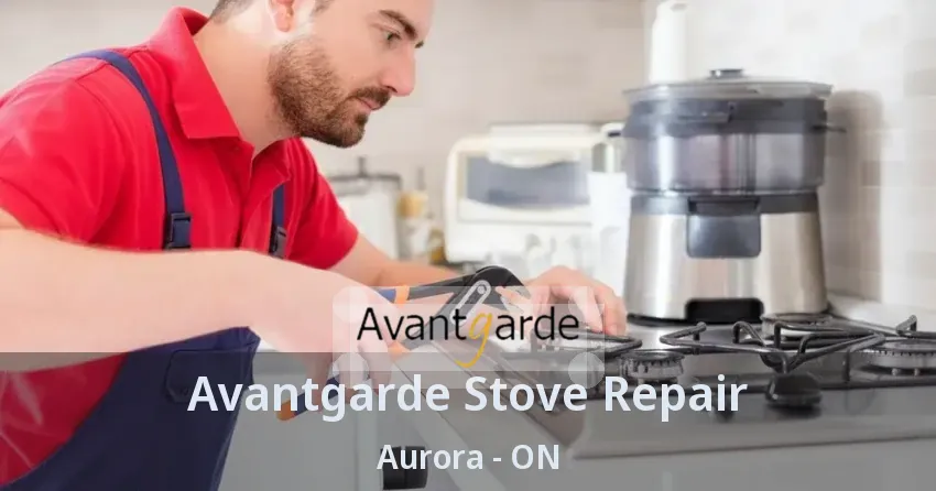 Avantgarde Stove Repair Aurora - ON