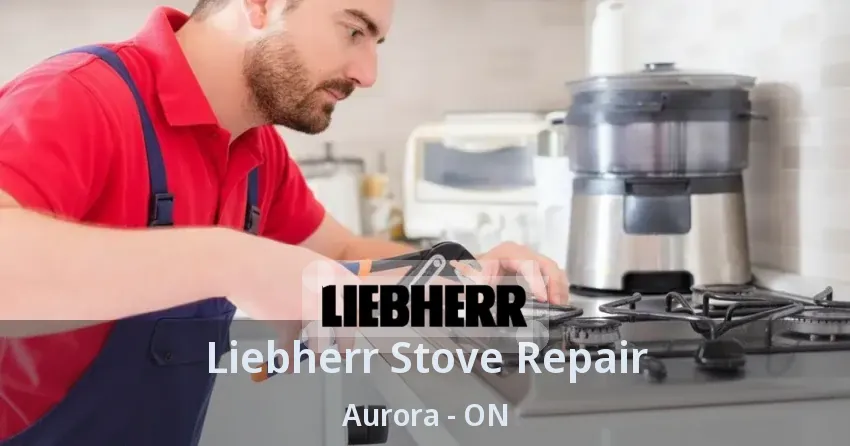 Liebherr Stove Repair Aurora - ON