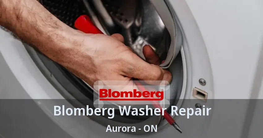 Blomberg Washer Repair Aurora - ON
