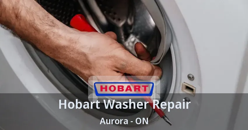 Hobart Washer Repair Aurora - ON