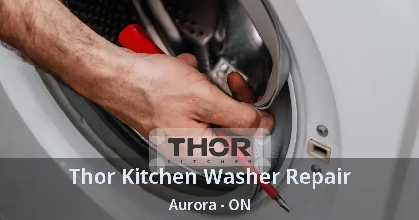 Thor Kitchen Washer Repair Aurora - ON